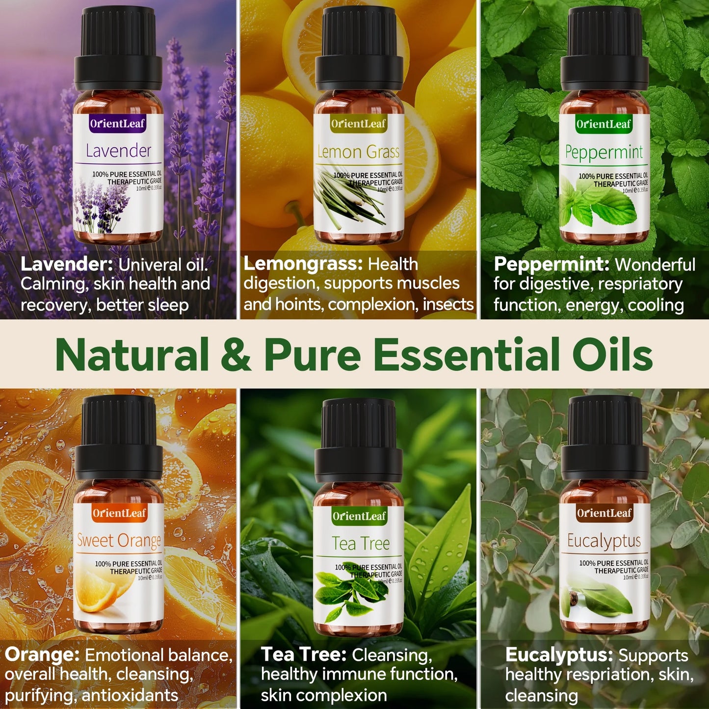 Premium Essential Oil Collection - 100% Pure Oils for Diffusers, Aromatherapy, Sleep, Massage, and DIY Projects - Thoughtful Gift Set for Women with Greeting Card