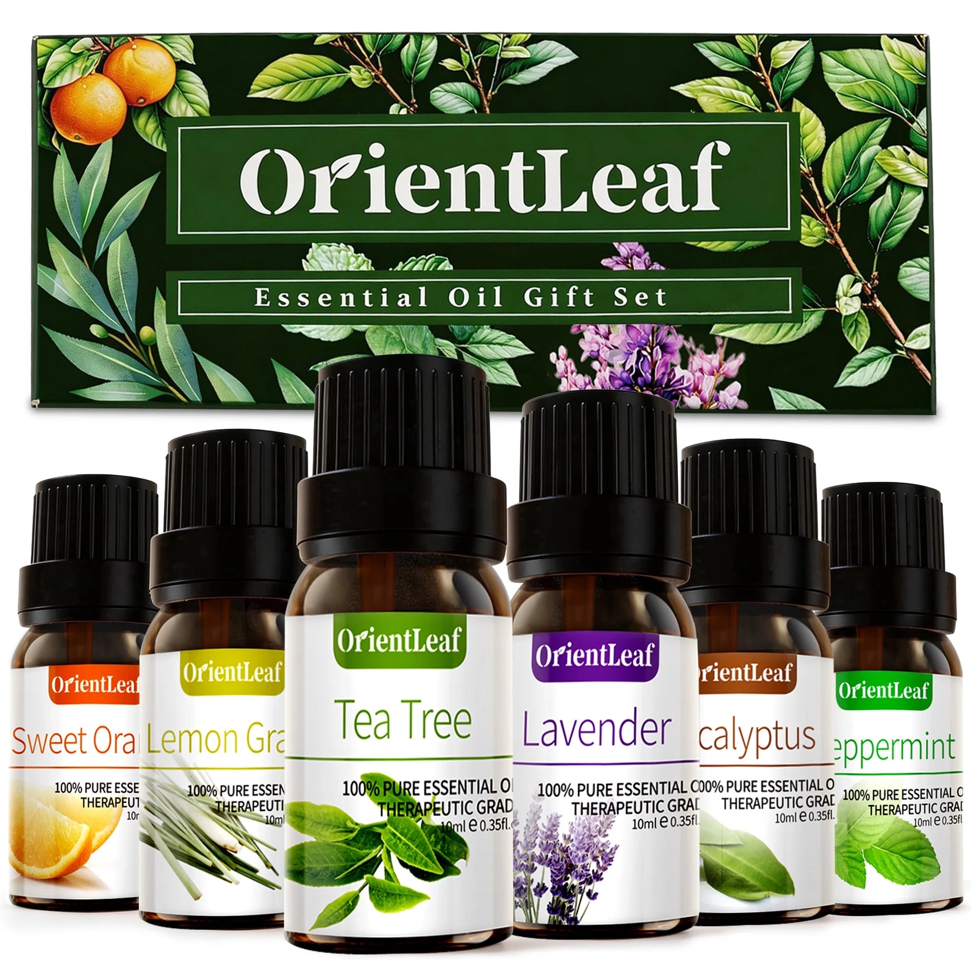 Premium Essential Oil Collection - 100% Pure Oils for Diffusers, Aromatherapy, Sleep, Massage, and DIY Projects - Thoughtful Gift Set for Women with Greeting Card