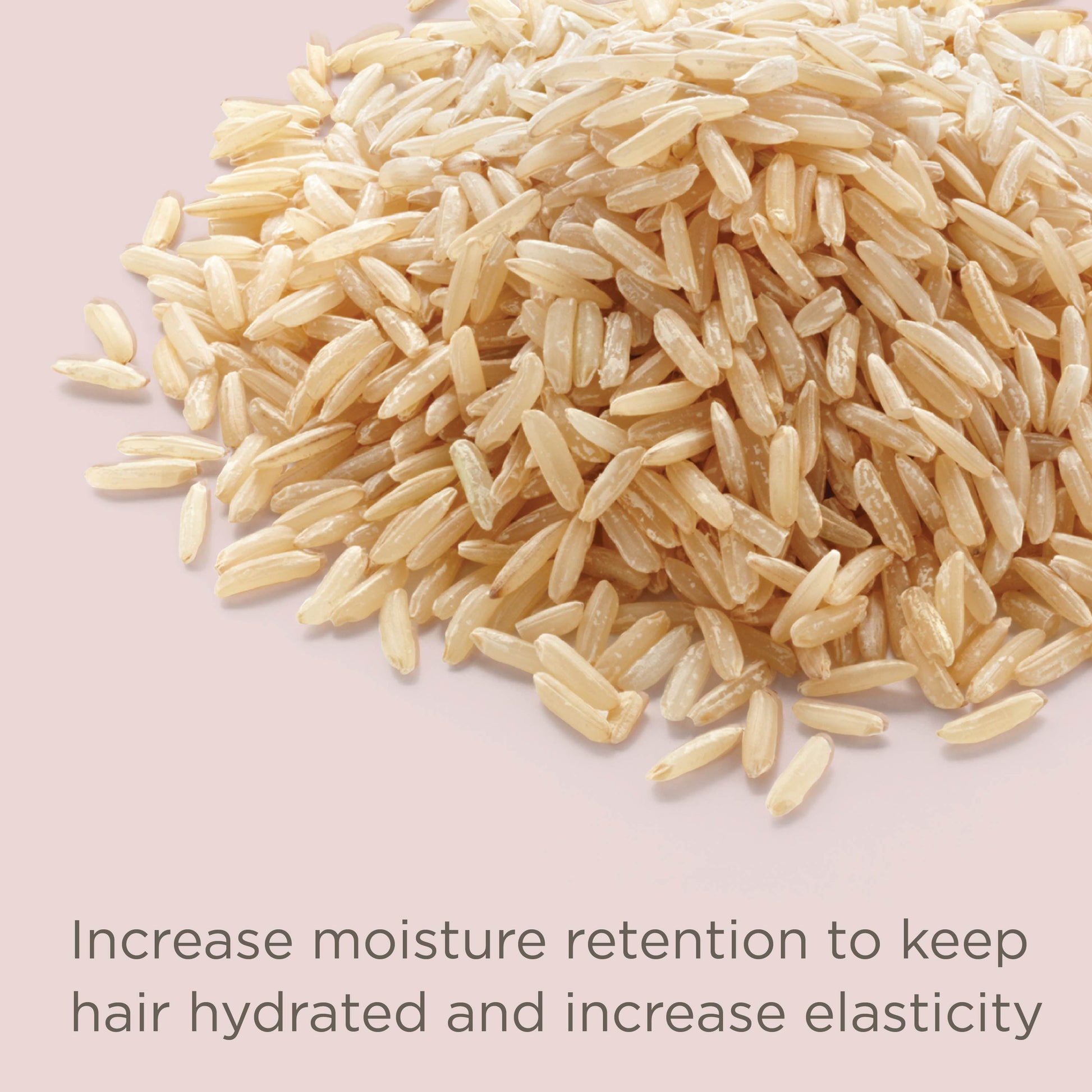 Rice Water Scalp Cleansing Treatment Rinse - 8 oz