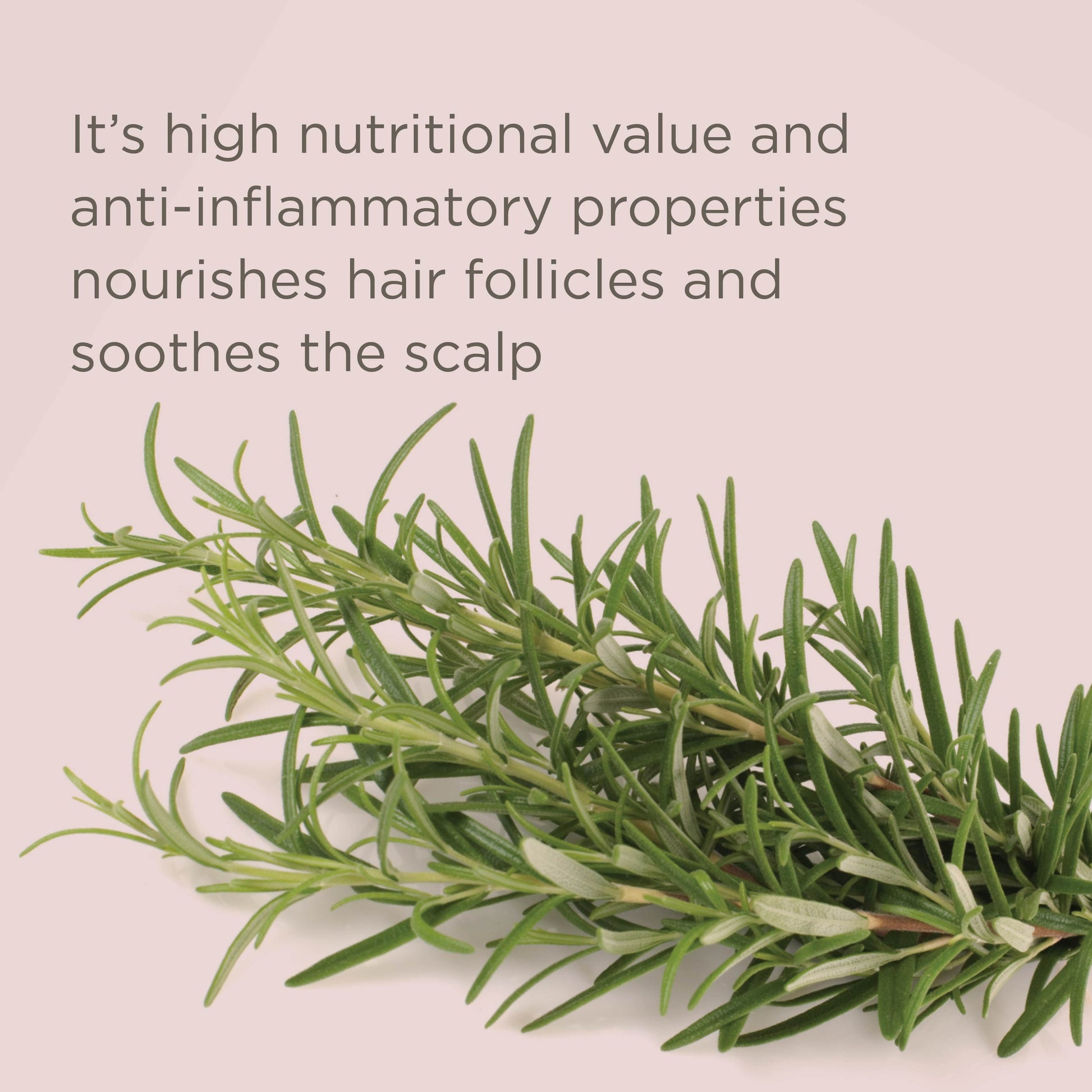 Rice Water Scalp Cleansing Treatment Rinse - 8 oz
